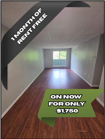 225 Old Carriage Drive #402