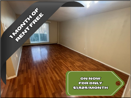 225 Old Carriage Drive #208